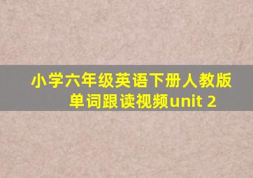 小学六年级英语下册人教版单词跟读视频unit 2